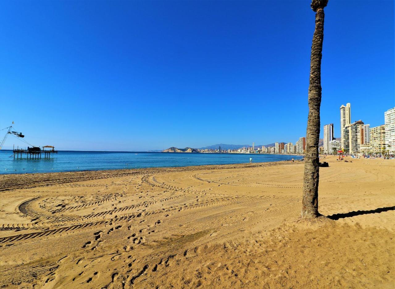 Don Miguel 1 4-b Apartment Benidorm